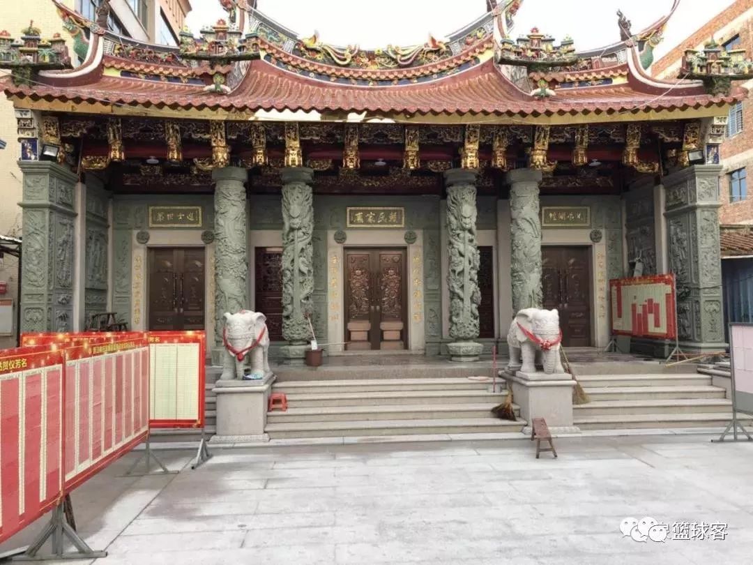 树仔篮球历史_篮球的树_花树篮球