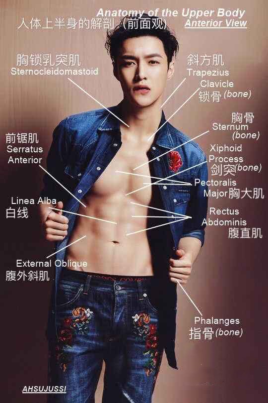 健身房男明星_国内男明星健身照_健身的明星男